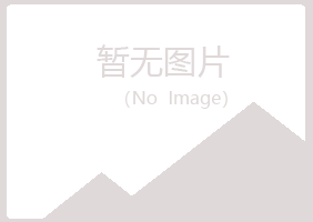 含山县摆布咨询有限公司